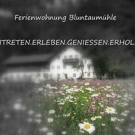 Ferienwohnung Bluntaumuehle Голлинг-на-Хальцахе Номер фото