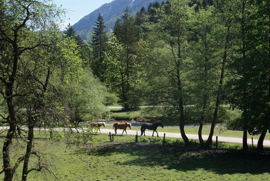 Ferienwohnung Bluntaumuehle Голлинг-на-Хальцахе Номер фото