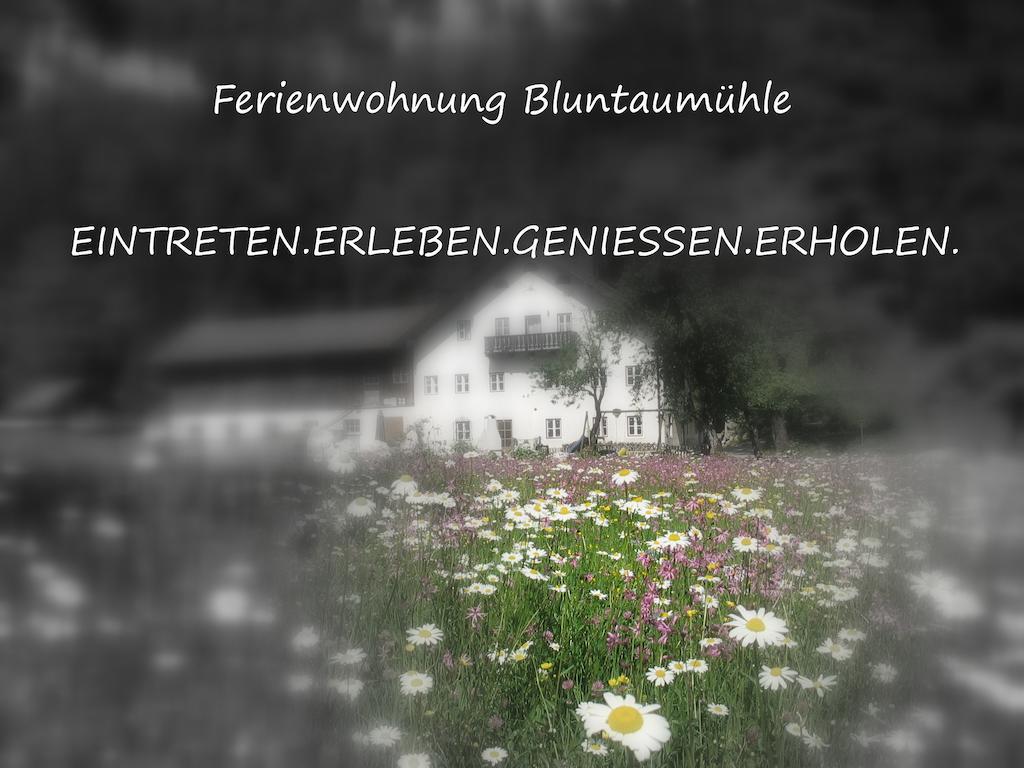 Ferienwohnung Bluntaumuehle Голлинг-на-Хальцахе Номер фото